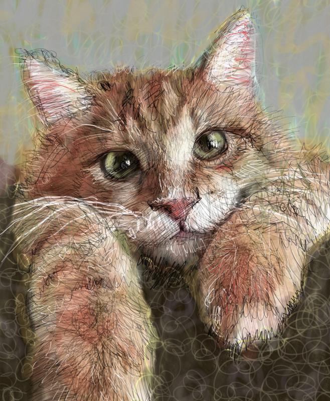 Color Cat with Silly Eyes