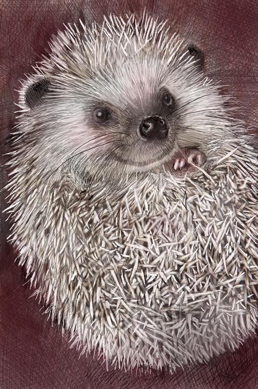 Lovely Hedgehog