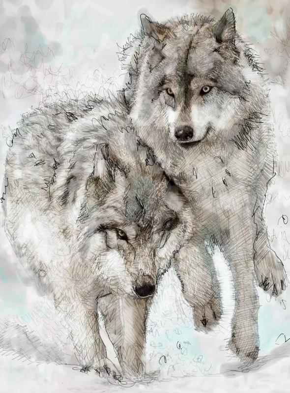 Hunting Wolves