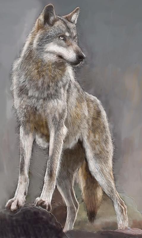 Wolf Leader