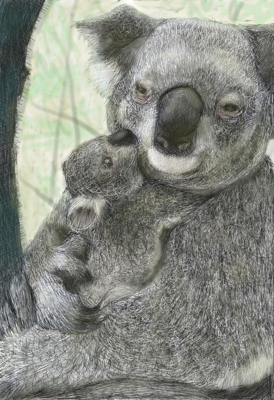 Koala Mother & Her Baby