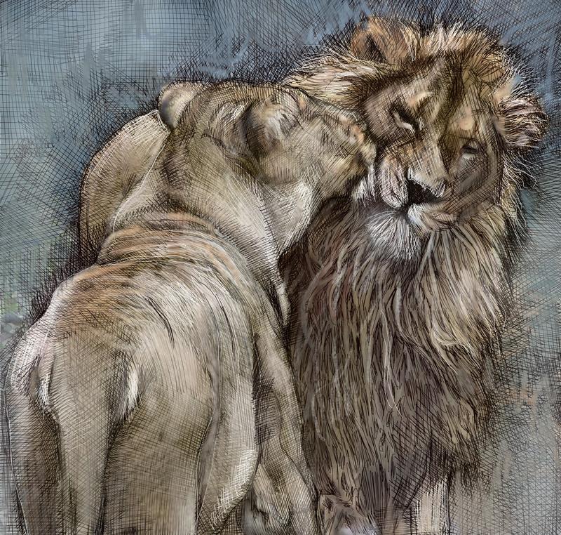 Lions in Love