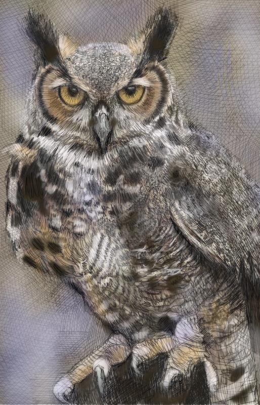 A Night Owl